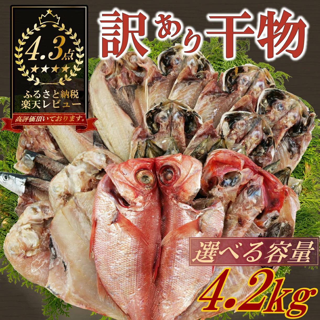 訳あり 干物 おまかせ 選べる 容量 約4.2kg 詰め合わせ 沼津 ひもの すずひで ひもの 訳あり おまかせ 干物 ひもの 詰め合わせ 訳あり 干物 セット 本場沼津