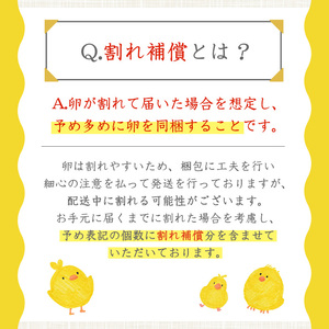 No.779 ＜定期便・全6回(連続)＞鹿児島県産美山オリーブ卵(40個×6ヶ月連続) 割れ保証付 国産 九州産 鹿児島県産 たまご タマゴ オリーブ 卵 鶏卵 生卵 おかず TKG 卵かけご飯 朝食
