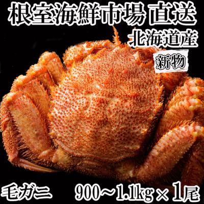 ふるさと納税 根室市 ボイル毛がに900g〜1.1kg×1尾 D-11053