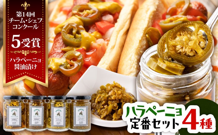 
                  ハラペーニョ 定番セット 4種 / はらぺーにょ 醤油漬け ハラペーニョ ピクルス 唐辛子 調味料 4種 セット 菊陽町 熊本県【こびらオリーブ園】[BHBL005]
                