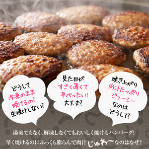 120001 北海道産ビーフハンバーグ(ありがとう)(90g×6)  