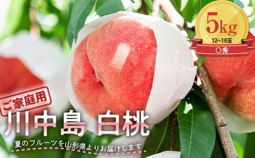 FYN9-554 ご家庭用 山形県産 川中島 白桃 5kg (12～18玉) 2026年8月下旬から順次発送 硬め 柔らかくなる 有袋 もも モモ 桃 フルーツ くだもの 果物 夏果実 家庭用 自宅用
