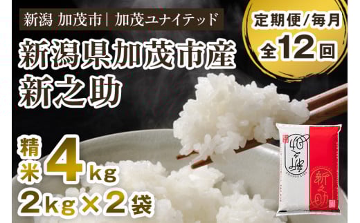 【令和7年産新米先行予約】【定期便12ヶ月毎月お届け】新潟県産 新之助 精米4kg 《2kg×2袋》《10月上旬から順次発送》 新潟 ブランド米 加茂市 加茂ユナイテッド