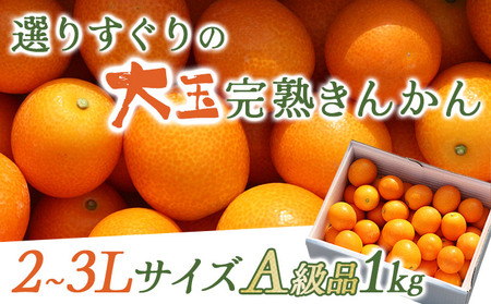 KU445 【プレミアム】選りすぐりの大玉完熟きんかん１kg【玉様ファーム】