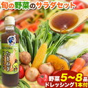 【ふるさと納税】 【先行予約】 矢掛町 サラダ セット 野菜 5～8品目入 青空市きらり《4月上旬から10月上旬頃に出荷予定》岡山県 矢掛町 野菜 野菜詰め合わせ ドレッシング トマト きゅうり アスパラガス 玉ねぎ リーキ 送料無料