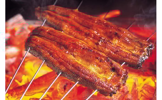 ＜土用の丑の日（7月26日）着＞うなぎ 蒲焼き 白焼き 食べ比べセット 400g (200g×各1尾) 冷蔵 土用の丑の日（7月26日）着