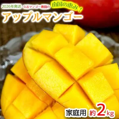 【2026年発送】久志マンゴー農園のアップルマンゴー家庭用（約2kg） アーウィン 果物 甘い 夏 濃厚 ギフト Mango ランキング 完熟 お気に入り 美味しい 人気 おすすめ フルーツ 沖縄県 