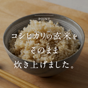 【1～5営曜日以内発送】鳥取県日野町産コシヒカリ 玄米ごはん 玄米パック 160g×18個入り おこめのみかた パックごはん パックご飯