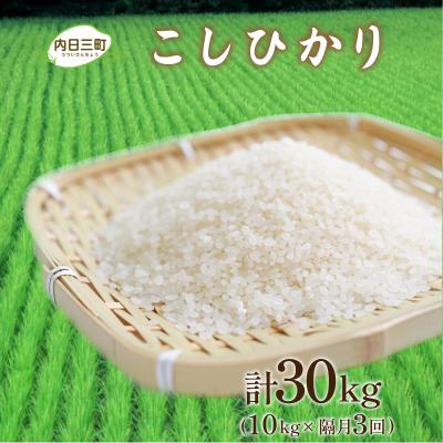 ふるさと納税 下関市 令和7年産 コシヒカリ10kg 隔月3回 山口県産 《内日三町:DZ9105》
