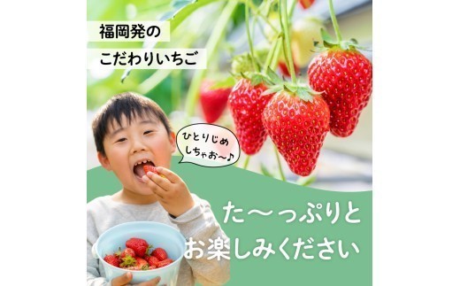 福岡県産あまおう 270g×4パック【2026年3月発送開始】