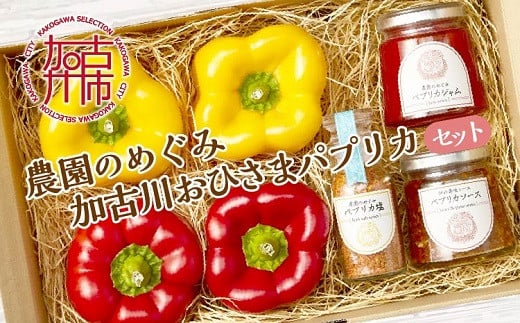 
            ☆期間限定☆加古川おひさまパプリカ＆ジャム・ソース・ソルト【8月中旬より順次発送】《 パプリカ ジャム ソース ソルト おひさまパプリカ 国産 おすすめ プレゼント 贈答 美味しい 送料無料 》【2401F08201】
          