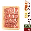 【ふるさと納税】くまもとあか牛 肩ロース 焼肉用 約500g/約1kg 選べる内容量 お肉 和牛 牛肉 焼き肉 肩ロース 熊本県産 九州産 国産 冷凍 送料無料