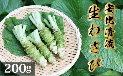 岩手県産 生わさび 200g 【安比清流山葵園】 ／ 山葵 ワサビ わさび 薬味 国産 八幡平市産 産地直送 新鮮 調味料 刺身 ステーキ お肉 蕎麦 和え物 漬け物 刻み おろし 辛味 和食 お寿司 そば 肉の薬味 魚の薬味 そばの薬味 料理 自宅用 家庭用 おすすめ オススメ お取り寄せ 日本産