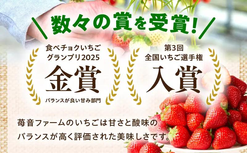 【先行予約】苺音ラグジュアリー～冬の大粒さぬきひめいちご～　約850g | スイーツ いちご イチゴ ストロベリー さぬきひめ さぬき姫 苺 冷蔵 フルーツ 旬 果物 香川県 デザート 青果物 おすす