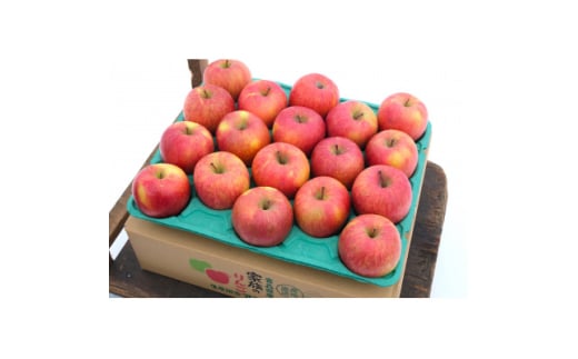 ＜26年2月出荷予定＞平均糖度13度以上! 葉とらずサンふじ 約5kg 訳あり【1612850】