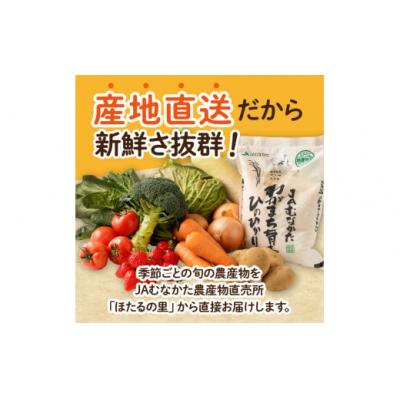 ふるさと納税 宗像市 【9〜11品】むなかた旬のお任せセット(野菜・フルーツ・お米)【JAほたるの里】_HA0263 |  | 01