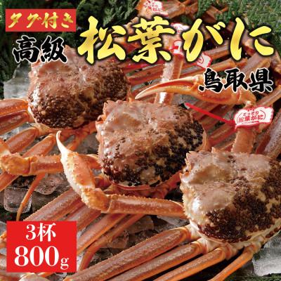 ふるさと納税 琴浦町 【2025年11月発送】特撰 松葉がに(生)【タグ付き】800g3杯 ※足の欠けなし N9_I