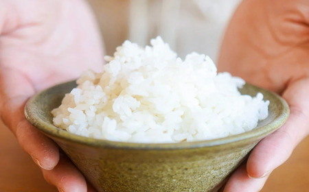 【令和8年産早期予約】お米定期便 丹波篠山産コシヒカリ〈 精米 5kg × 12回 〉計60kg お米定期便 [SUBSC-DP18]