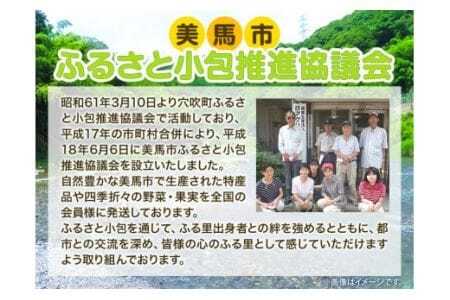 ＜先行予約＞ ふるさと小包詰め合わせ12月 8種セット 美馬市ふるさと小包推進協議会《12月上旬-12月下旬頃出荷》