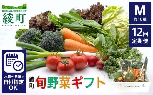 【12回定期便】綾町旬野菜ギフト〈 Mサイズ/約10種 〉2～3人分 産地直送 野菜セット 詰め合わせ 新鮮 有機栽培 旬 採れたて 野菜定期便 野菜 人参 トマト じゃがいも 玉ねぎ きゅうり さつまいも 芋 ねぎ 小松菜 大根 ほうれん草 キャベツ キノコ等 送料無料 【オーガニックのまち 宮崎県綾町】