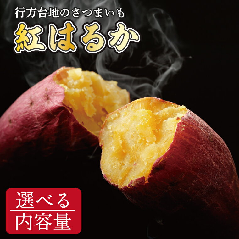 【先行予約】【訳あり】無選別　行方台地のさつまいも　紅はるか10kg