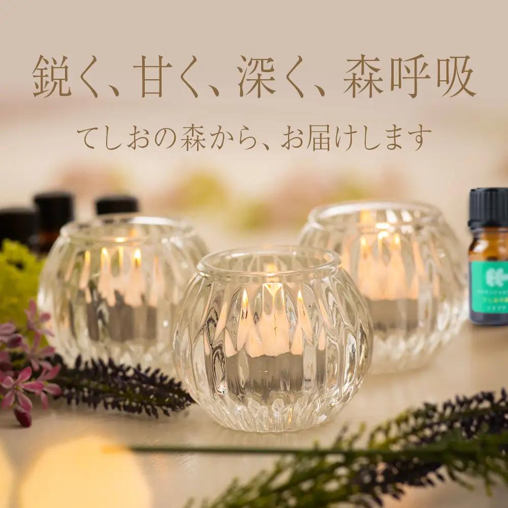 最北のトドマツ精油４ml エッセンシャル・オイル トドマツ