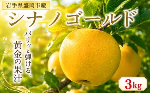【先行予約】11月発送開始 シナノゴールド 3kg 完熟 フルーツ 果物 旬 旬のフルーツ 季節のフルーツ りんご 林檎 リンゴ 国産 産地直送 くだもの お取り寄せ 贈り物 ギフト 贈答用 贈答 贈り物 プレゼント おすすめ 美味しい デザート 特産品 名産品 ご当地 岩手県 盛岡市 東北 岩手 盛岡 北田りんご園 kitada020