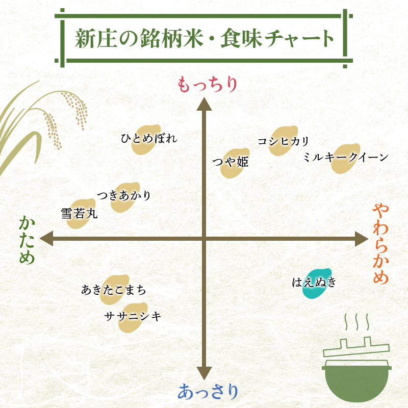 令和8年産 ＜定期便 6回＞ 山形県産 はえぬき 精米 10kg （5kg×2）【最上ノ米蔵】 F3S-3017