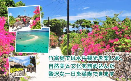 幻の島上陸＋シュノーケリング+竹富島観光ツアー　～珊瑚やカラフルな魚の中をシュノーケリング＜1日／昼食付き／市街地送迎／石垣島発＞【 旅行 体験チケット観光 大自然 体験ツアー 観光 沖縄 アクティビ