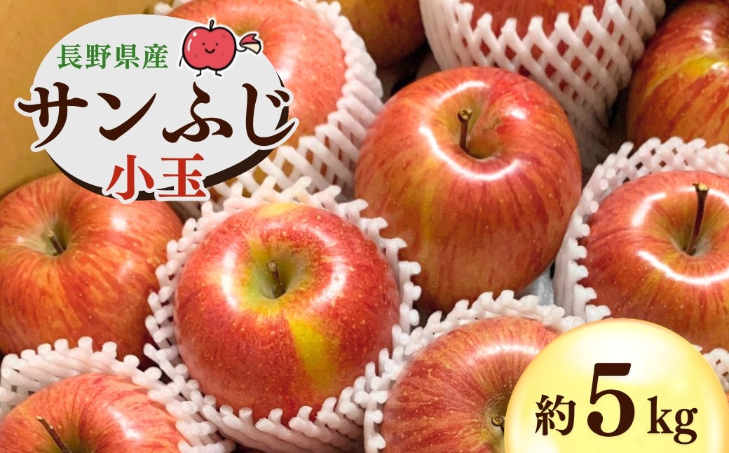 
                  千曲市産 サンふじ りんご 約5kg 小玉 訳あり 家庭用 | 林檎 リンゴ アップル 果物 くだもの フルーツ 5キロ わけあり 訳アリ お取り寄せ 産地直送 長野県産 信州林檎 信州りんご 信州 長野 千曲市
                