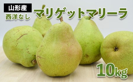 山形市産 西洋なし(マリゲットマリーラ) 秀 10kg(5kg×2) 14玉～30玉【令和8年産先行予約】FS24-585 くだもの 果物 フルーツ 山形 山形県 山形市 2026年産