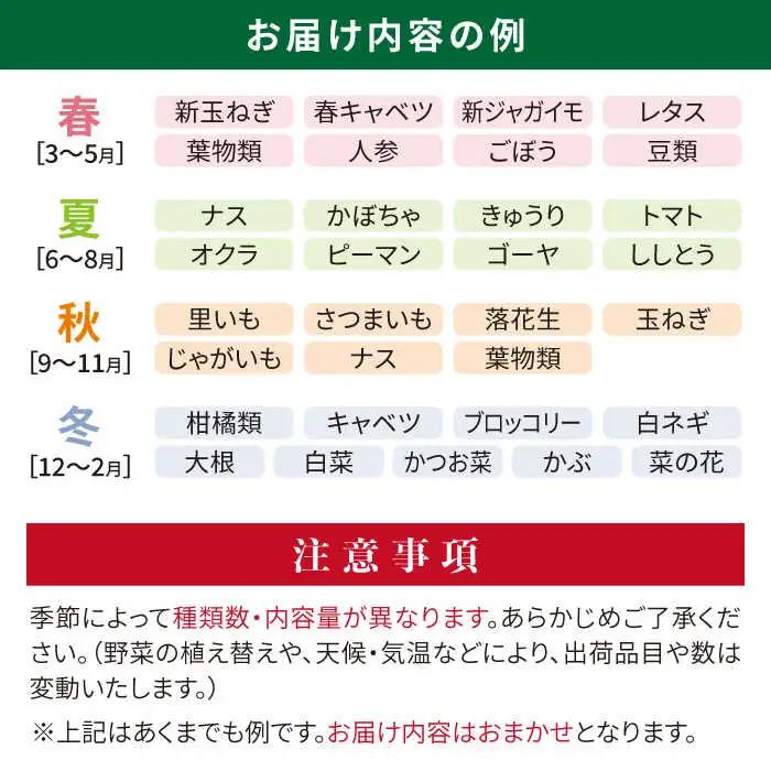 【 全12回 定期便 】 福岡県 糸島産 旬 の 野菜 盛り合わせ セット 《糸島》【株式会社フロンティア・アドバンス】[AWC009]