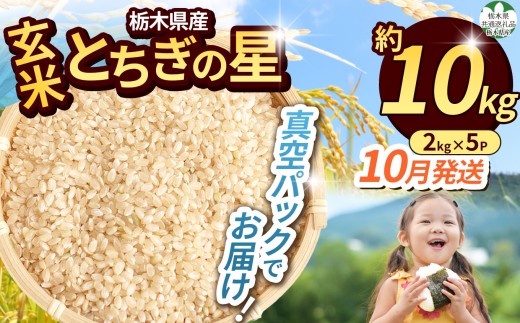 【栃木県共通返礼品】【令和8年度】栃木県産 とちぎの星 約10kg（玄米真空パック）10月発送 | 新米 okome kome お米 米 ご飯 飯 主食 日本 米 とちぎの星 玄米 米 ごはん 冷めてもおいしい ふるさと納税 那珂川町 栃木県 送料無料