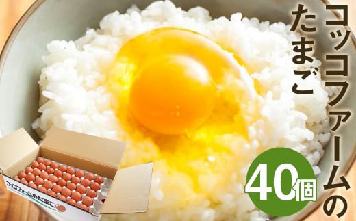コッコファームのたまご 40個入 たまご タマゴ 卵st-p