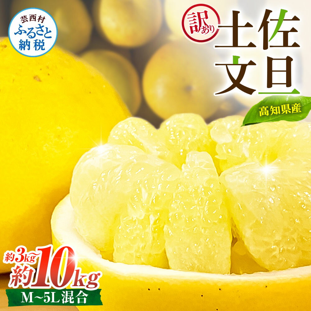 【ふるさと納税】先行予約 訳あり 土佐文旦 文旦 家庭用 約3～10kg M～5L混合サイズ 高知県産 ブンタン ぶんたん 旬 期間限定 柑橘 かんきつ 柑橘類 フルーツ 果物 くだもの デザート おやつ 爽やか 甘い ジュース スイーツ 美味しい おいしい 常温 配送 芸西村 返礼品