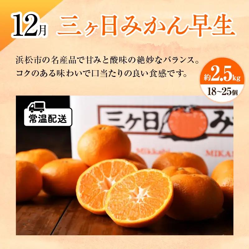 みかん 2026年11月上旬より発送 フルーツ定期便 3回 みかん