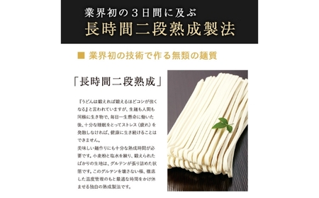 亀城庵 半生讃岐うどん並切麺120g×10袋(10食入・つゆ付セット)さぬきうどん 家庭用 ざる ぶっかけ 釜揚げ 釜玉 麺