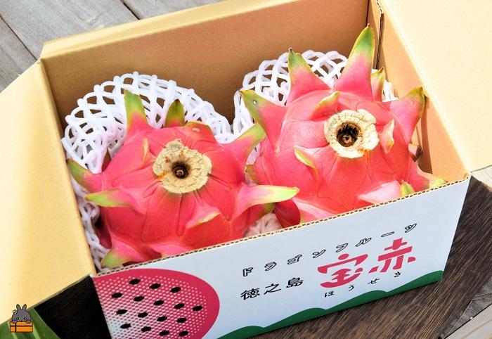 ～ルビーの輝き～プレミアムドラゴンフルーツ“徳之島宝赤（ほうせき）”（1kg～1.5kg） （ ドラゴンフルーツ 果物 フルーツ 南国 ピタヤ 太陽 美容 健康 徳之島 奄美 鹿児島 世界自然遺産 こ