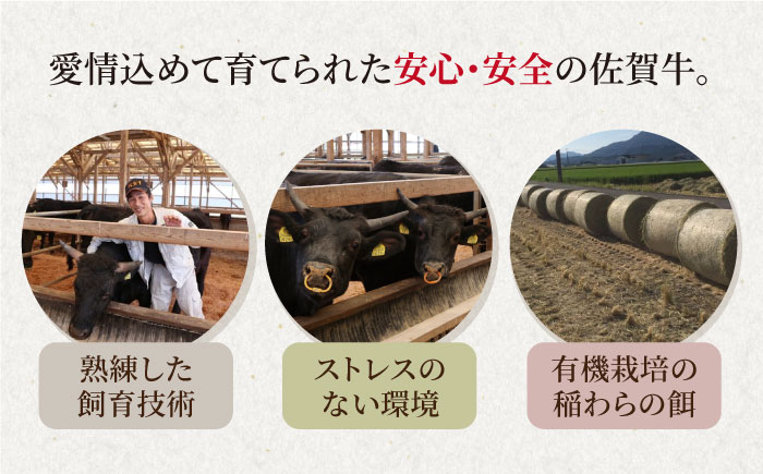 【全3回定期便】佐賀牛 牛すじ 600g（300g×2パック）【山下牛舎】 [HAD131] 牛肉