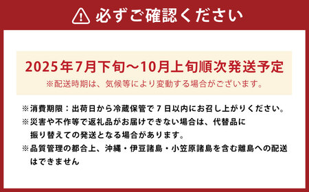 P326-02 渡辺農園 いちじく (とよみつひめ) 2パック 2024年8月1日から9月15日 出荷予定