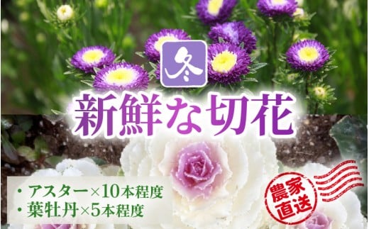 【先行予約】花農家直送 新鮮な切花【冬】  / 生花 お花 旬の花束 豊かな生活 花のある生活 15本程度 2種 季節 花 ※2026年12月下旬以降発送予定 [aw099-a004]