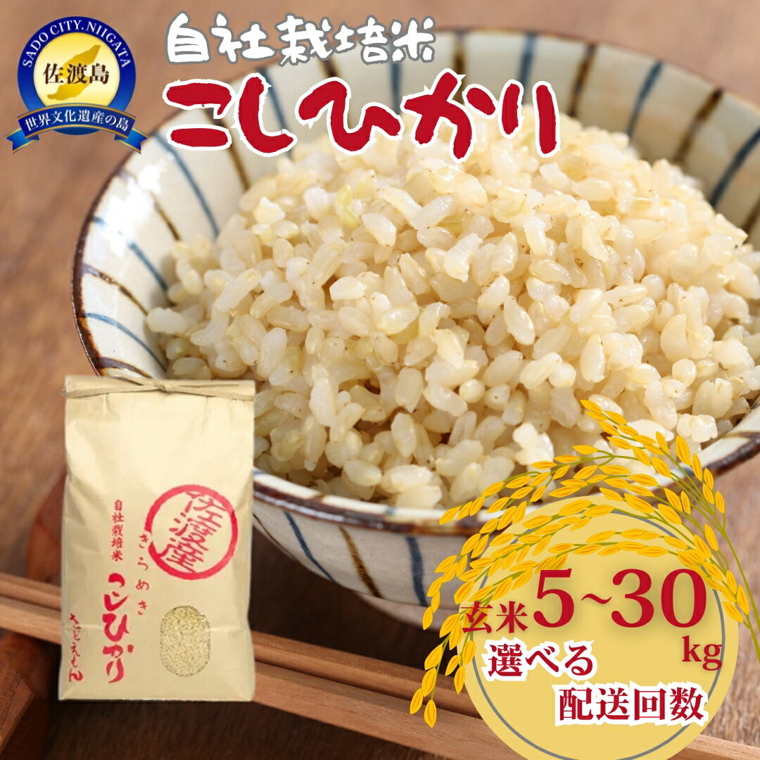 【ふるさと納税】【令和7年産米】自社栽培米佐渡産こしひかり 玄米 5kg ～ 30kg 選べる配送回数 コシヒカリ 新潟県 佐渡市