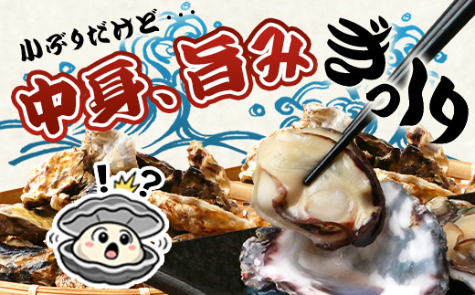 有明海産 養殖牡蠣2kg｜殻付き生牡蠣｜加熱調理用｜新鮮 佐賀県産 カキ【レンジで簡単調理】お正月 夕食 おつまみ おかず 佐賀県 鹿島市 人気 冬季限定 B-376