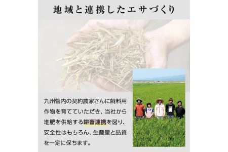 isa172 《毎月数量限定》＜生冷凍＞国産牛・甘熟豚南国スイート合挽きハンバーグ(14個・1個あたり100g) 【お肉の直売所 伊佐店】