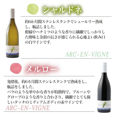 ふるさと納税 東御市 【アルカンヴィーニュ】定番ワイン 赤白2本セット (シャルドネ・メルロー) |  | 01