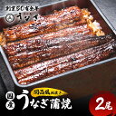 【ふるさと納税】うなぎ 国産 手焼き蒲焼2尾セット[うなぎ蒲焼き 炭火焼 たれ 鰻 蒲焼 鰻蒲焼 ウナギ ギフト 贈り物 うな丼 鰻丼 グルメ ご褒美 簡単調理 冷凍 真空 丑の日]　津市