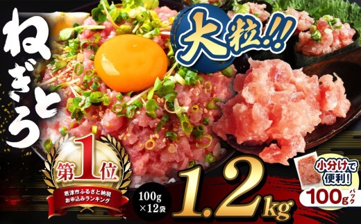 ねぎとろ 小分け 100g パック 1200g（100g×12袋）お試しサイズ | 清幸丸水産 大人気 おためし 手巻き寿司 海鮮丼 韓国風ユッケ マグロのユッケ まぐろ 海鮮 小分け 100g パック 千葉県 君津市