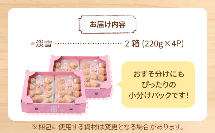 【先行予約】ほんのりピンク 希少 白いちご「淡雪」220g×4パック【岸川農園】イチゴ [IAP033]