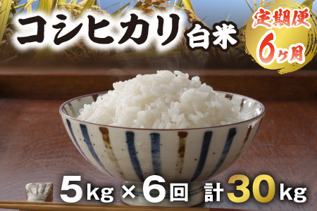 【令和5年産】【農家直送定期便 6ヶ月コース】【白米】 本原農園のまごころコメた 福井県産 コシヒカリ 5kg × 6回 計30kg [C-8961_01]