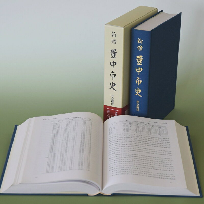 【ふるさと納税】新修　豊中市史　第8巻　社会経済